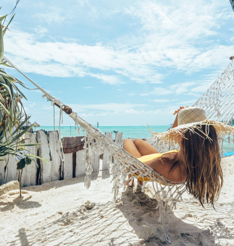 Welcome to Daily Flush